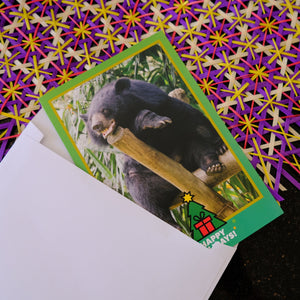 Bear Holiday cards