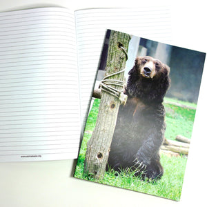 Stationary bundle